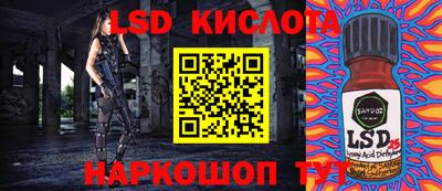 a pvp Гатчина