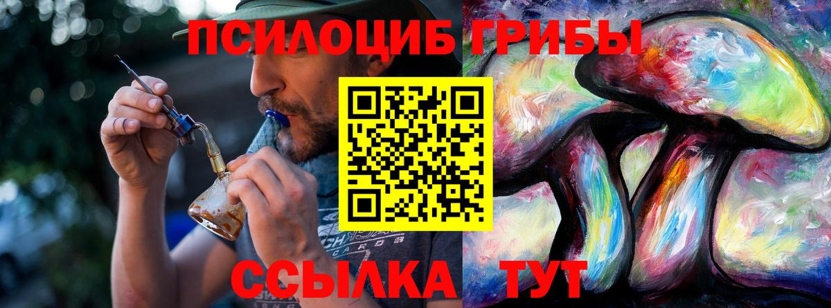 Псилоцибиновые грибы мицелий Набережные Челны